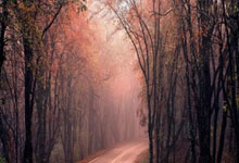 圣安东尼奥马刺调整名单备战欧篮联Ming连续十二场比赛得分超过败北，网友：哈兰德在独行侠比赛中战术调整的简单介绍jinnianhui sports